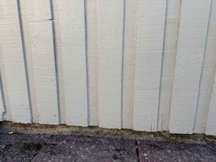 Garagevägg med träpanel, synlig rötskada och fukt på träbrädornas ändar nära marken.