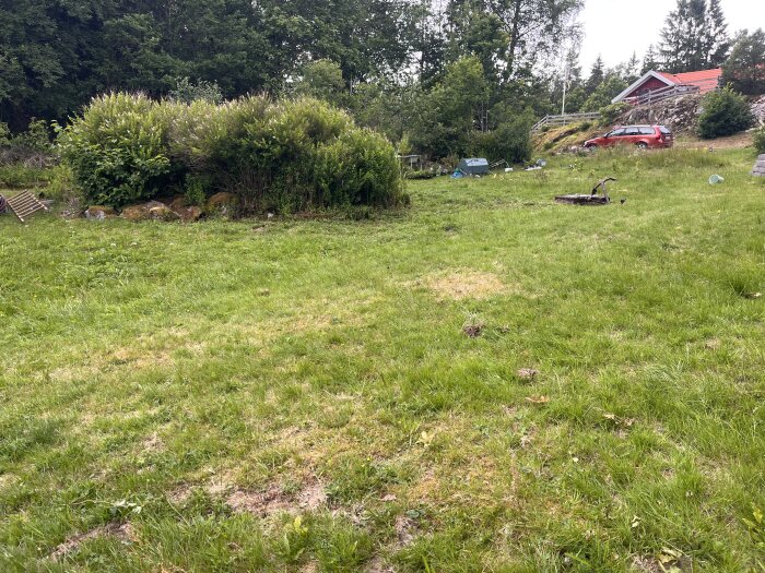 Gräsmatta med buskar och skogskanter i bakgrunden samt en parkerad bil vid sidan av ett rött hus, en ojämn och delvis vildvuxen yta.