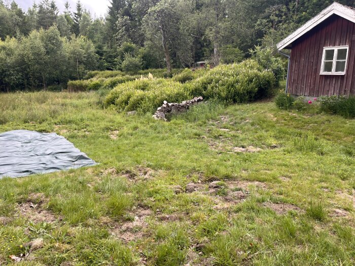Gropig gräsmatta med presenning, stenar och en röd stuga på en tomt omgiven av skog.