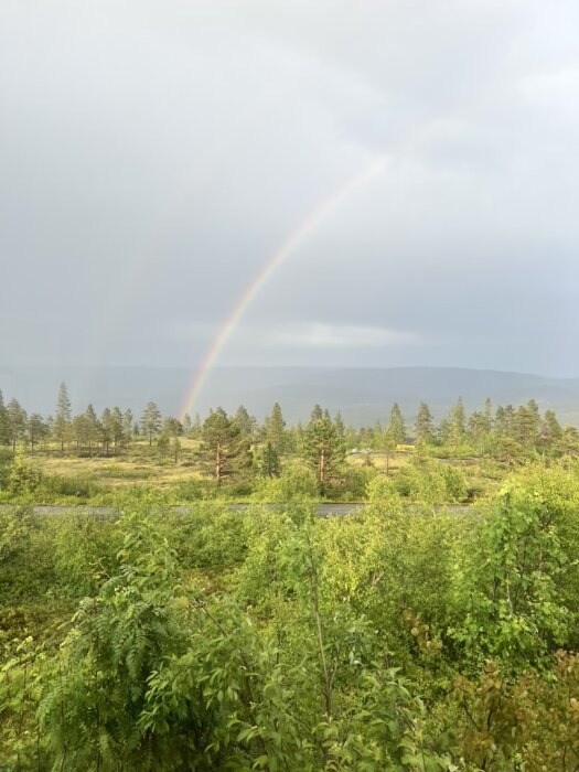 Regnbåge över en skog och grönska i det norska bergslandskapet. Molnig himmel förebådar regn.