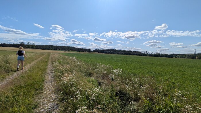 Person går längs en grusväg genom ett öppet fält. Klarblå himmel och gröna ängar omger landskapet med skog vid horisonten.