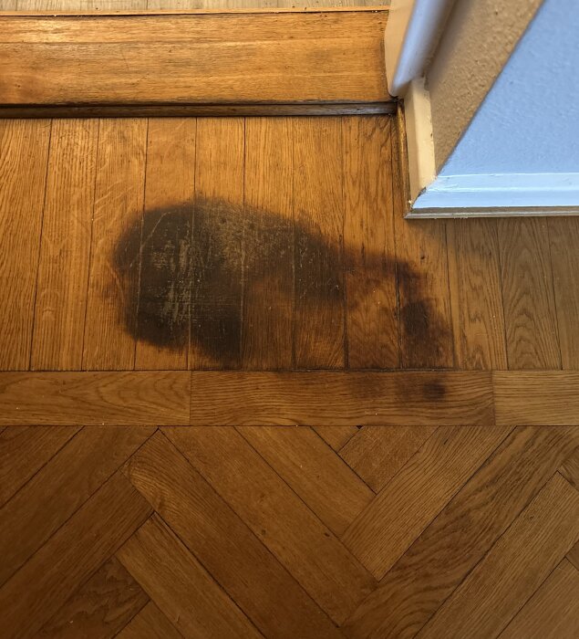 Stor mörk fläck på parkettgolv, eventuellt orsakad av läckande soppåse innehållande kattsand.