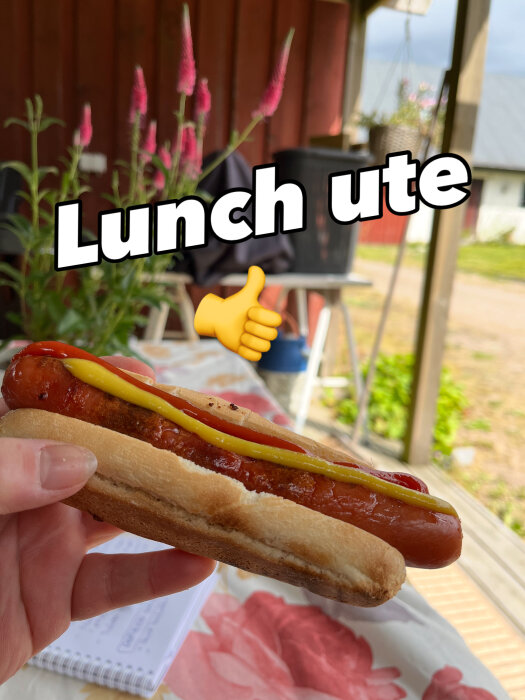 Korv med bröd, ketchup och senap hålls i handen utomhus. Bakgrund med röd byggnad, blommor och texten "Lunch ute" med tumme-upp emoji.