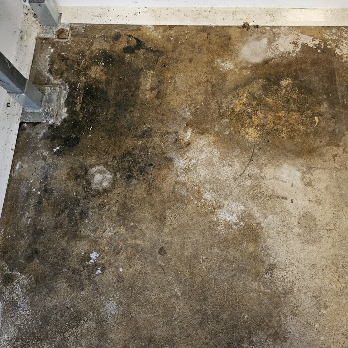Betonggolv i garage med mörka och ljusa fläckar, troligen fukt- eller mögelskador. Fläckarna har ökat i antal och storlek över tiden.