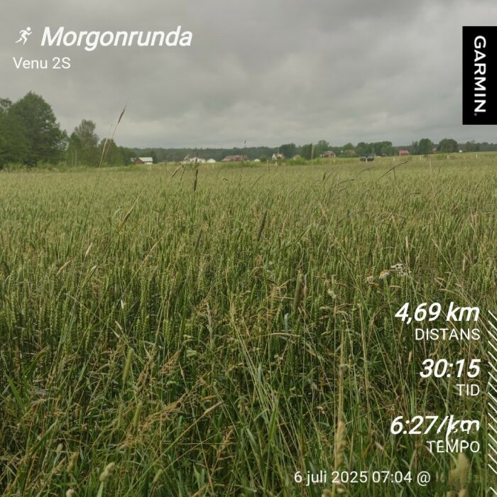 Bild av ett fält med högt gräs under en molnig himmel. Data om en löprunda visas: 4,69 km, 30:15 minuter, 6:27 min/km, 6 juli 2025.