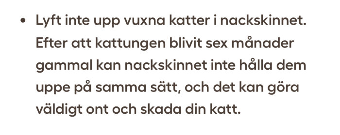 Text som varnar för att lyfta vuxna katter i nackskinnet då det kan orsaka smärta och skada dem.
