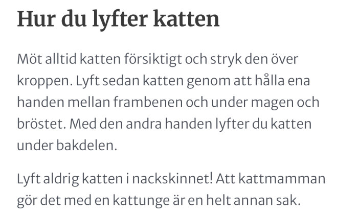 Instruktioner för hur man lyfter en katt, inklusive att aldrig lyfta den i nackskinnet.