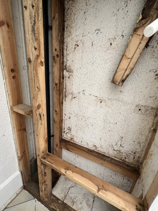 Träkonstruktion med eventuella fuktskador, visar väggisolering och reglar i ett pågående byggprojekt. Plast syns i hörnet.
