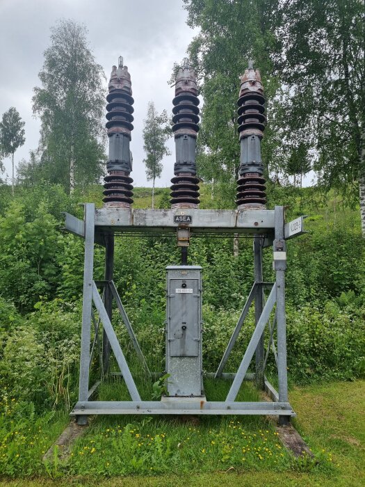 Transformatorstation i grönskande natur, med tre stora isolatorer och en metallisk kontrollbox. Märkt med "ASEA".