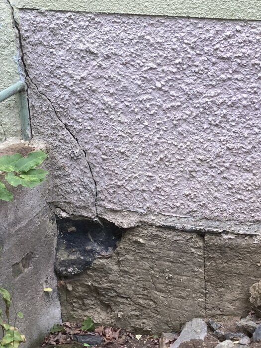 En sprucken mur med synliga skador, potentiellt orsakad av frostsprängning, med växtlighet i närheten.