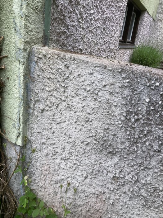 Sprucken gjuten mur med texturerad yta, del av hus syns i bakgrunden, gröna växter vid basen av muren.