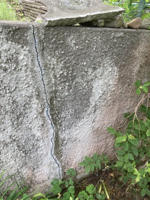 Sprucken mur med synliga sprickor, omgiven av gröna växter, antyder skador från frostsprängning. Stenblock ovanpå muren.