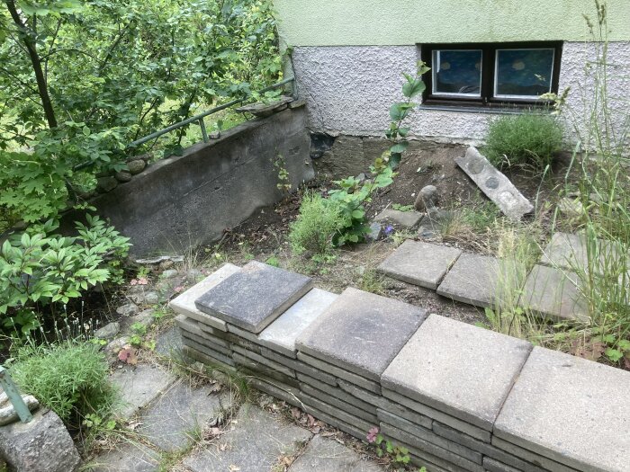 Sprucken mur vid uteplats omgiven av grönska. Muren har sprickor på grund av frostsprängning, med stenar liggande ovanpå.