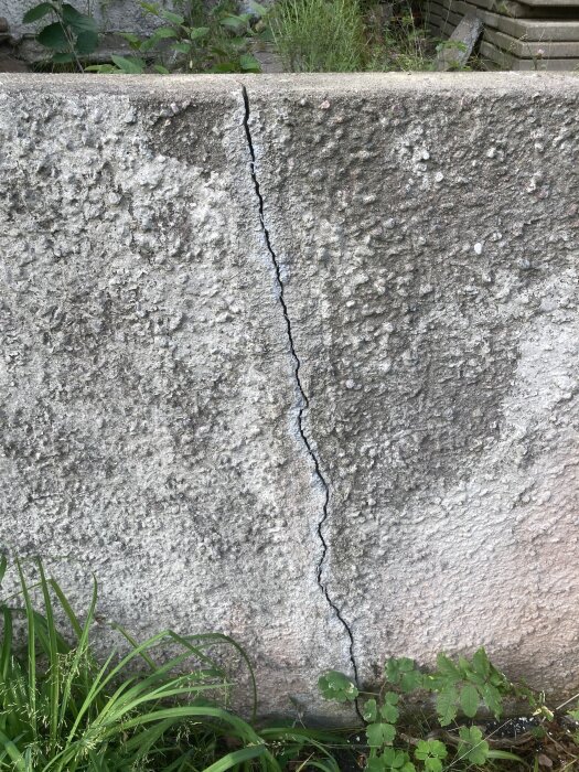 Spricka i en cementvägg med grönt gräs vid basen, potentiell risk för ytterligare skador på grund av belastning.