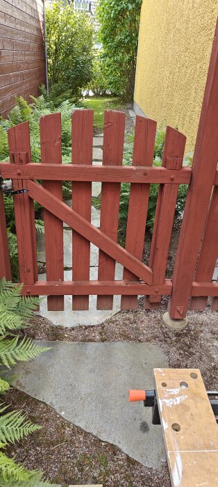 Rödträgrind i trädgård med grus, stenplattor och gröna buskar i bakgrunden.