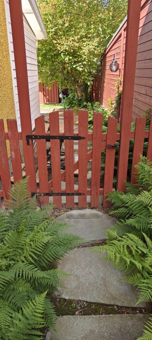 Röd trädgårdsgrind med gångjärn, omgiven av ormbunkar och stenväg, mellan två röda byggnader.