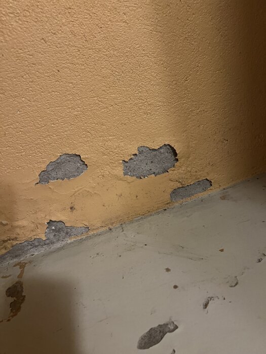 Avflagad färg på en källarvägg med synlig grå puts eller betong under, ovanpå ett ljusare golv.