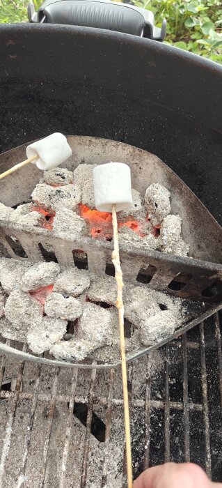 Grill med glödande kol där marshmallows grillas på spett.