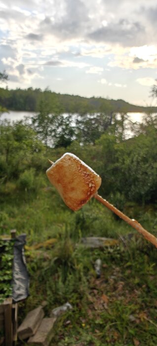 Rostad marshmallow på pinne med sjö och skog i bakgrunden.