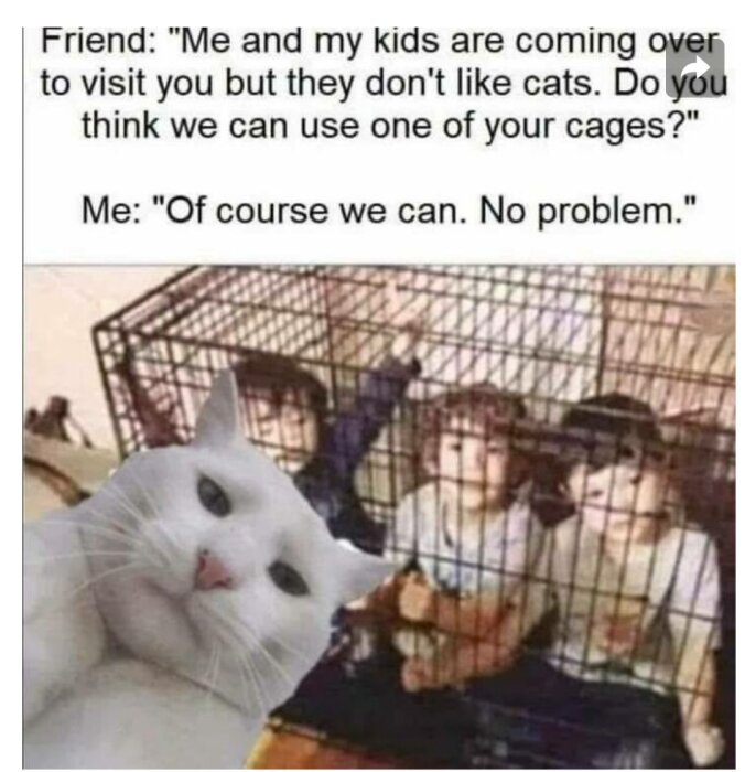 Tre barn i en bur och en katt framför gör ett selfie, med text om barn som inte gillar katter.