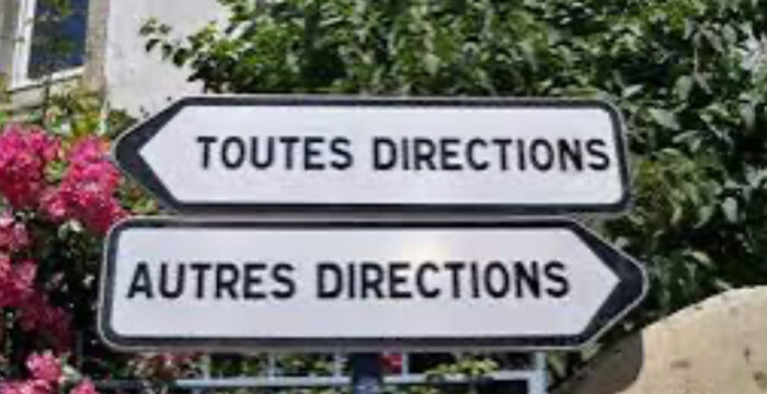 Vägskyltar med texten "TOUTES DIRECTIONS" och "AUTRES DIRECTIONS" framför buskar och rosa blommor.