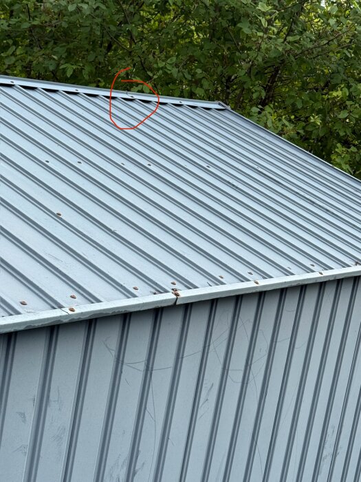 Plåttak med markerad glipa mellan takplåtar vid nock, omgiven av grönska i bakgrunden.