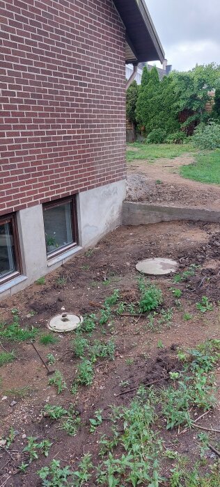 Röd tegelvägg med källarfönster, synlig marknivå, två betongbrunnar, och grönska runt omkring. Fokuserar på dräneringsprojekt vid villa.