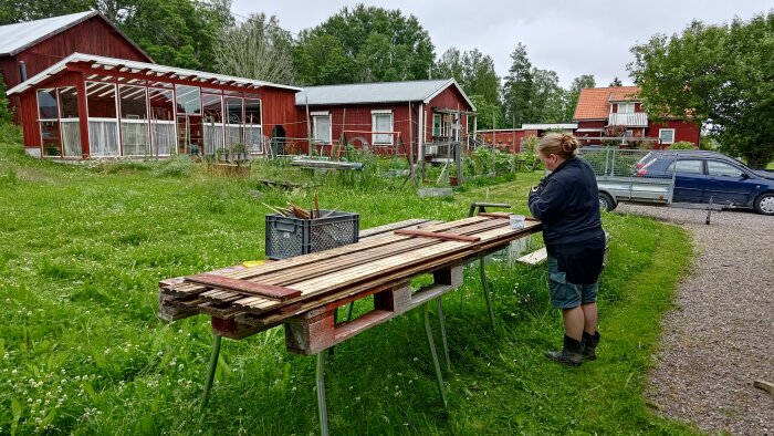 Kvinna målar hyllplan vid ett bord utomhus nära röda byggnader och växthus, med trädgård och bil i bakgrunden.