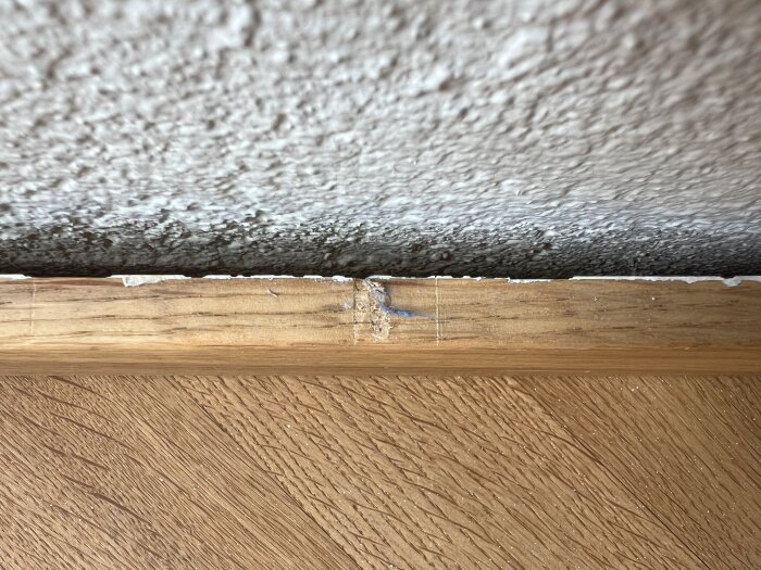 Närbild av en trälist längs en betongvägg, där listen delvis har lossnat och visar en skada i listen.