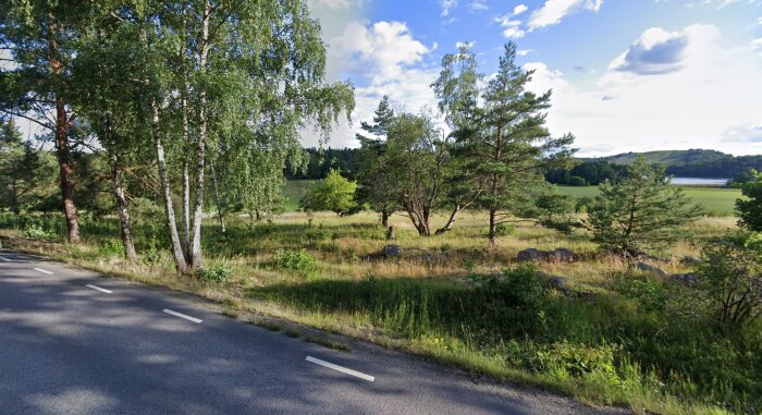 Landskapsvy med en landsväg och träd i förgrunden, grönskande äng och skog i bakgrunden under en blå himmel.