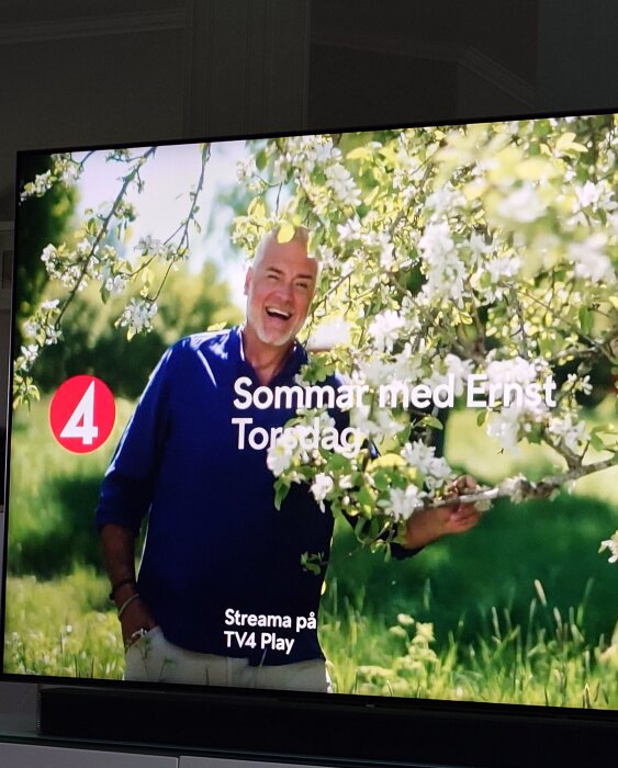 TV-skärm visar programmet "Sommar med Ernst" på TV4, en man i en trädgård.