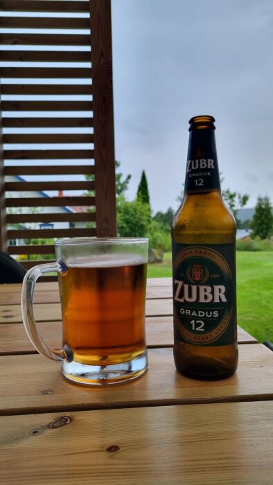 Flaska och glas med Zubr Gradus öl på träbord utomhus med grönskande bakgrund.