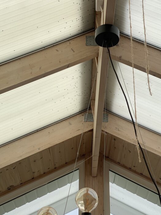 Flugor samlas på innertak av trä i ett inglasat uterum.