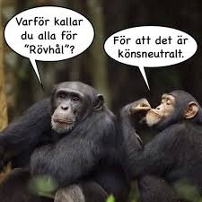 Två apor med pratbubblor, en frågar "Varför kallar du alla för 'Rövhål'?" och den andra svarar "För att det är könsneutralt.