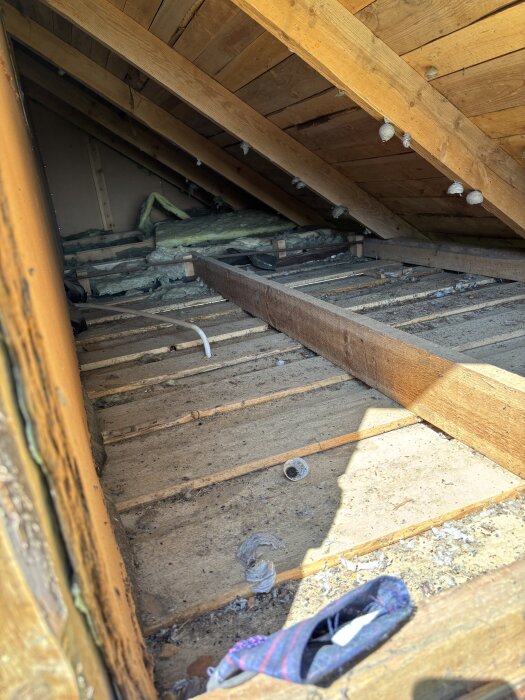 Oisolerad kattvind med träbjälkar och synlig isolering i bakgrunden. Gamla getingbon fästa på takets insida.