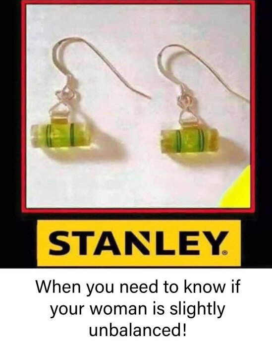 Örhängen med små vattenpass hänger mot en vit bakgrund. Under dem finns texten "STANLEY" följt av humoristisk text.
