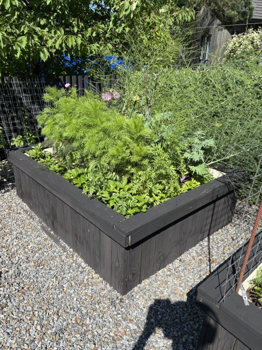 Odlingslåda i trä med grönsaker och blommor planterade, omgiven av grus och grönska i bakgrunden.
