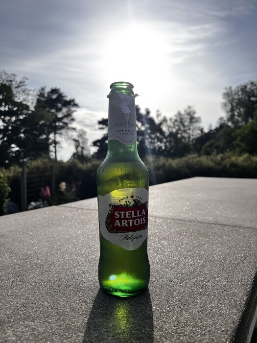 Flaska med Stella Artois öl på ett utomhusbord i solljus, med träd i bakgrunden.