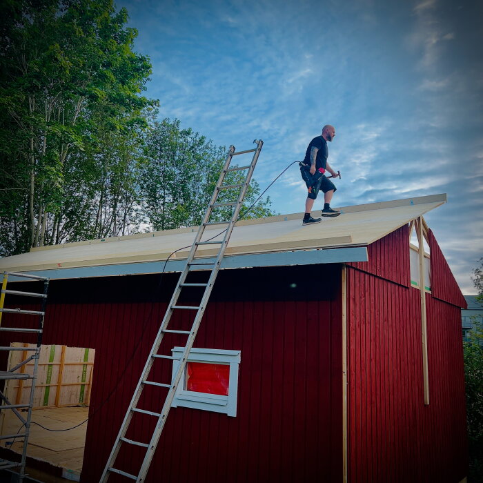 En person står på ett rött hus tak med verktyg, två stegar är lutade mot taket, omgiven av träd.