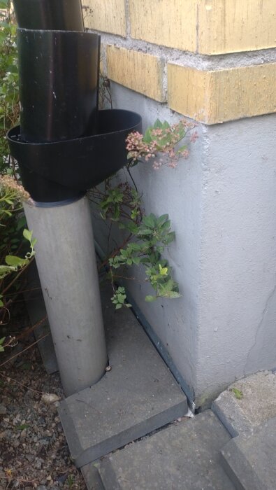 Nedåtriktat stuprör mot husvägg med tegel och puts. Växter vid sidan av stupröret. Dränerad mark med plattor syns nedanför.