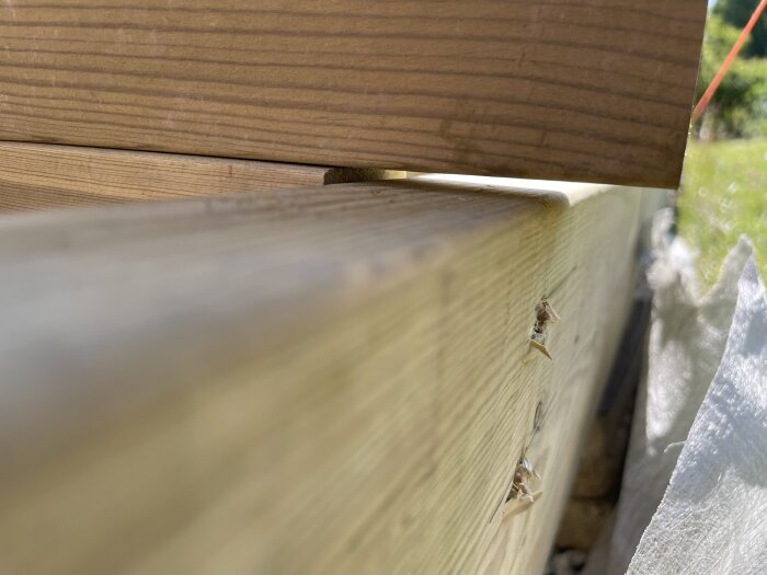 Glipa mellan regel och bärlina på byggkonstruktion, med skruvar i 45 graders vinkel och bräda i bakgrunden.