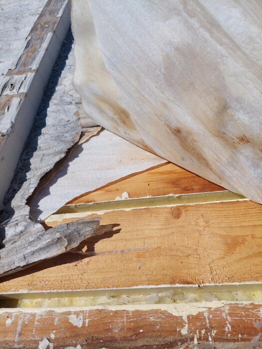 Isolering och reglar med fuktskador på en altan, plastfilm och papp synliga.