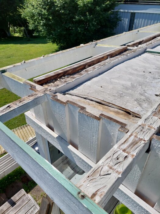 Altantak med träreglar och synlig plastplåt; skadeområden och fuktskadade delar tydliga, natur och byggnad synliga i bakgrunden.