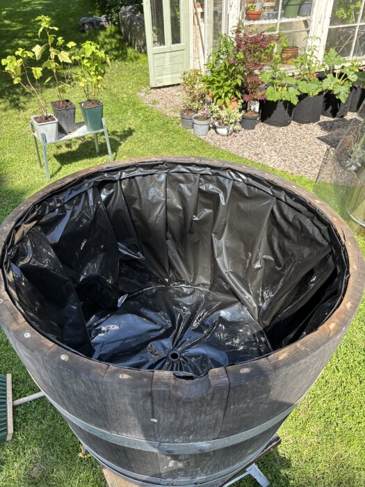 Trätunna med plastfoder placerad i trädgården, omgiven av växter i krukor och ett växthus.