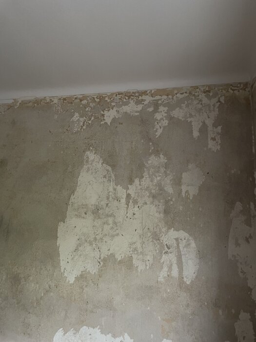 Betongvägg med rester av borttagen tapet, ojämna och fläckiga ytor, del av renoveringsprojekt i lägenhet.