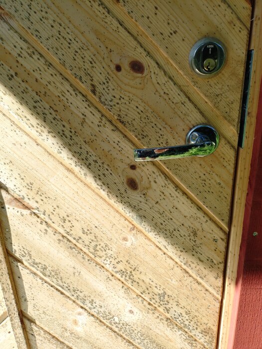 Träytterdörr med mörka fläckar av mögel eller alger, dörrhandtag och lås synliga.