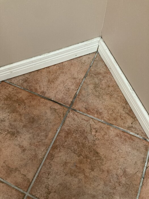 Hörna av rum med klinkergolv; fogar har mörka fläckar från limrester och rengöringsmedel, vilket ger upphov till stark lukt.