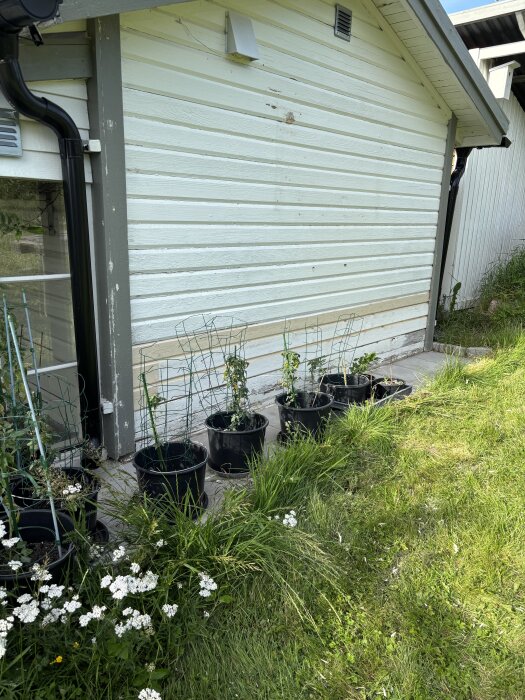 Verkstadsbyggnaden med ny panel nedtill och blomkrukor på marken. Gräsmatta och blomster i förgrunden.