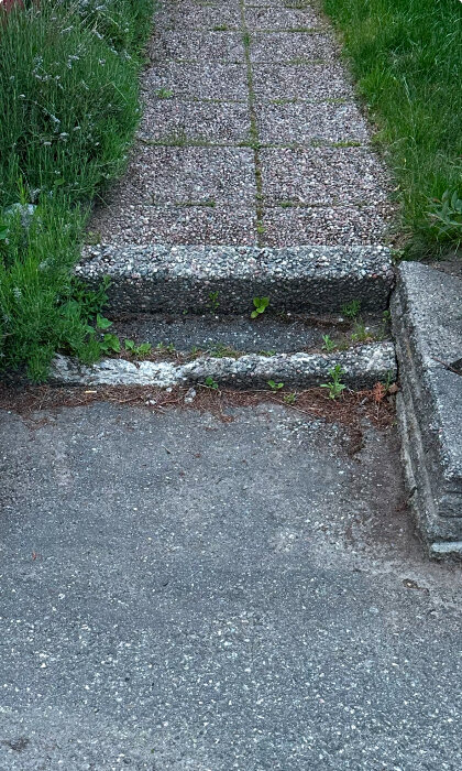 Gångstig med två trappsteg av betong och småsten, omgiven av grönt gräs och växter som växer mellan stegen.
