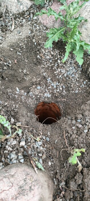 Brunt rör i jord omringat av stenar och växter i rabatten, potentiellt del av dräneringssystemet vid en villa.